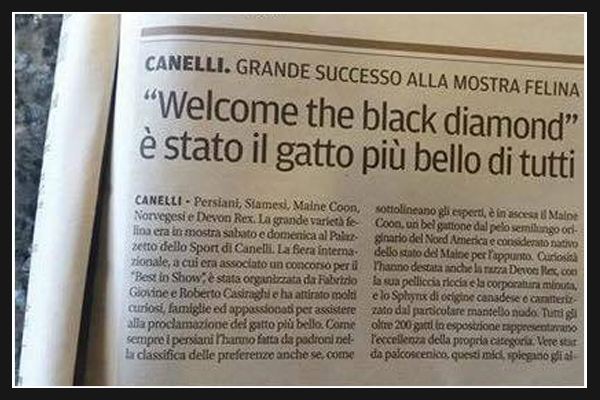 canelli