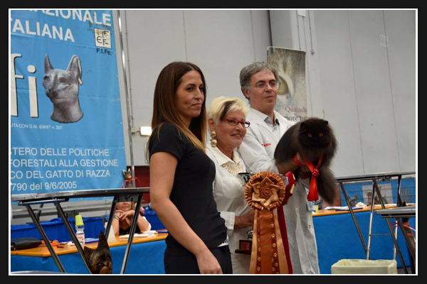 reggio emilia
