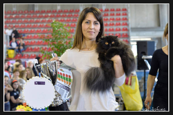 expo felina di Prato