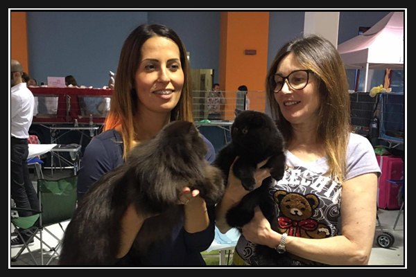expo-felina-di-asti-2016