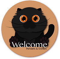 welcome_cattery